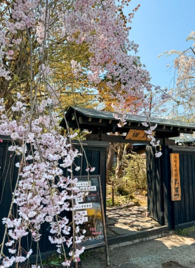 Sakura (cherry blossoms) in Kakunodate, Japan