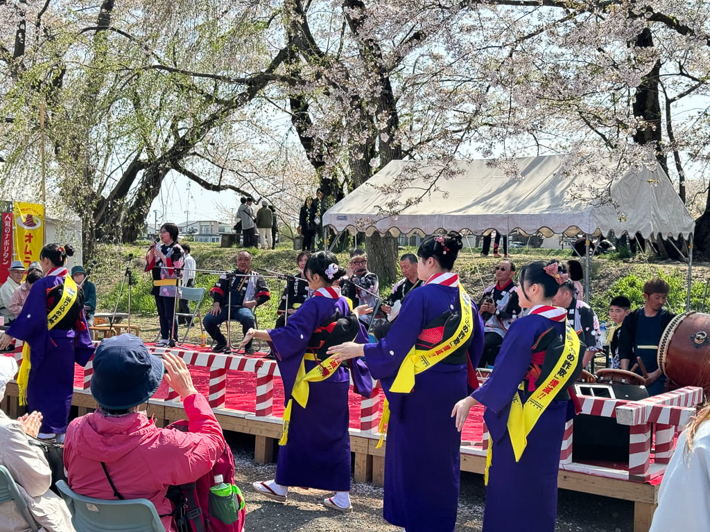 Sakura Matsuri (cherry blossom festival) at Hinokinaigawa Tsutsumi Park in Kakunodate, Japan