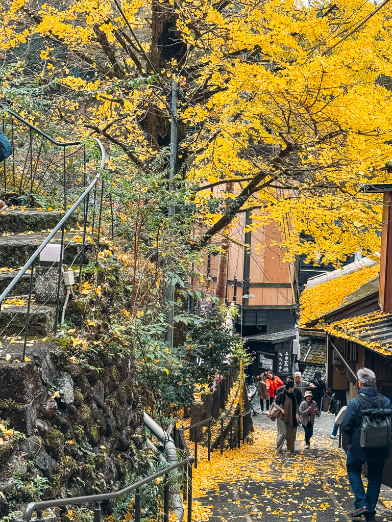 A small pedestrian street in Kurokawa Onsen with yellow autumn leaves from the ginkgo trees.